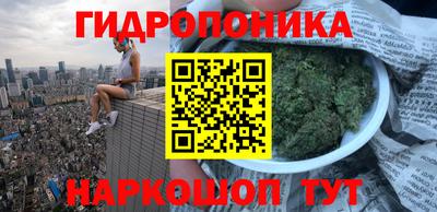 PSILOCYBIN Гагарин