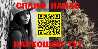 мяу мяу мука Гагарин