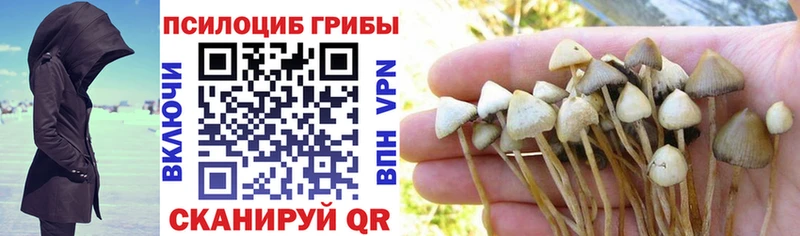 Псилоцибиновые грибы прущие грибы  Надым 