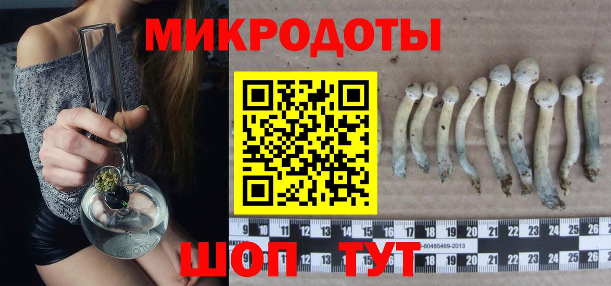 Надым  Псилоцибиновые грибы Psilocybine cubensis  Псилоцибиновые грибы MAGIC MUSHROOMS  Вход с VPN 